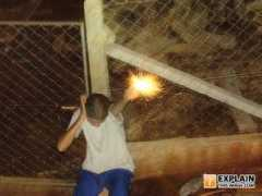 explainthisimage.com Bombinha