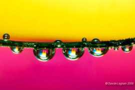 maxartis.it Bonali