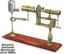 micro.magnet.fsu.edu:80 Bonanni