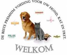 nationwidebulls.webklik.nl Bonaro
