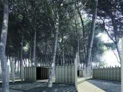 Bonavenia