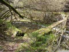 panoramio.com Bondai
