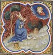 Bondel
