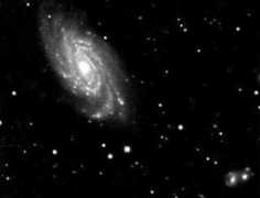 princeton.edu Bondim