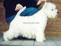 westieinfo.com Bonelly