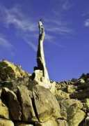 summitpost.org Bonesaw