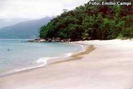 litoralvirtual.com.br Bonete