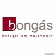 Bongas