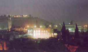 shuvubonim.org Bonim