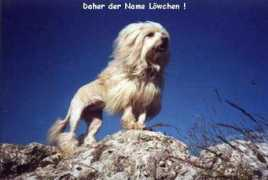 Bonnym
