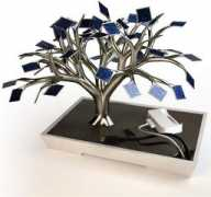 alternativeconsumer.com Bonsai