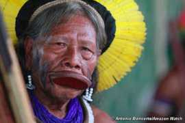 survivalinternational.org Bonsorte