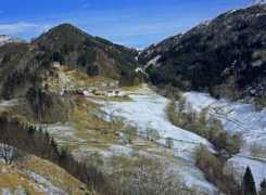 Bontveit