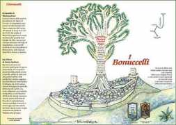 bonuccelli.com Bonuccelli