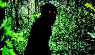 Boonmee