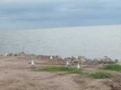 panoramio.com Boore