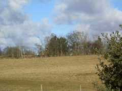 Booton