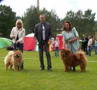 netchows.com Boraas