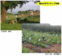 takae1.com Borann