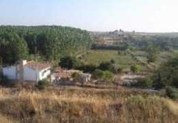 Borgaes