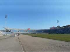 Borici