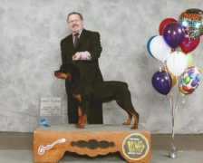 vomvollenhausrottweilers.com Borina