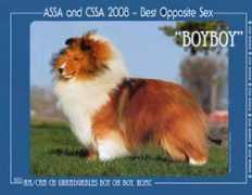 sheltie.com Bormel