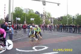 dailypeloton.com Bortola