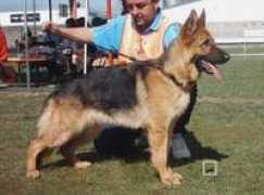 jalex.info Borue