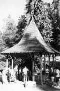 Borviz