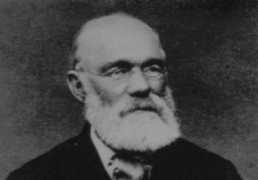 gov.ro Bosianu