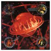 blackfrancis.net Bossanova