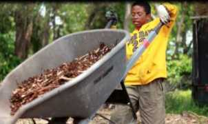 theurbanfarmingguys.com Bossio
