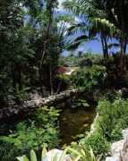 caymanvacationvillas.net Botanic