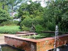 memphisconnect.com Botanic