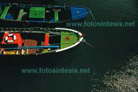 Botes