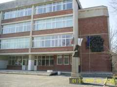 Botev