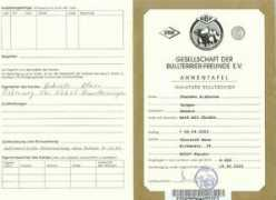 bullterrier-von-der-sturmhoehe.de Botger