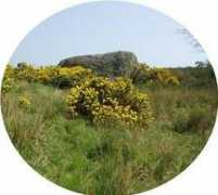 aboutbritain.com Bothel