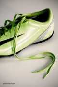 Botin