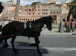 06blog.it Botticella