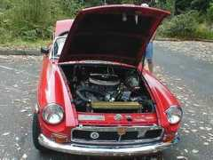 britishv8.org Bottini