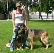 sheprescue.org Bougart