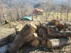 lastree.net Bouhouche