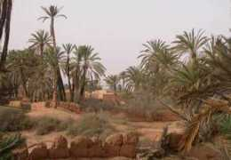 sobremarruecos.com Boukha