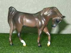 equineresindirectory.com Boukra