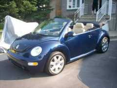 newbeetle.org Boumba