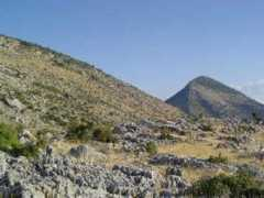 Bourkeb