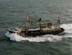 westcoasting.com Bovalis