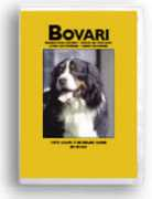 arcimboldeb.com Bovari